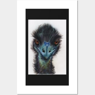 Black emu Posters and Art